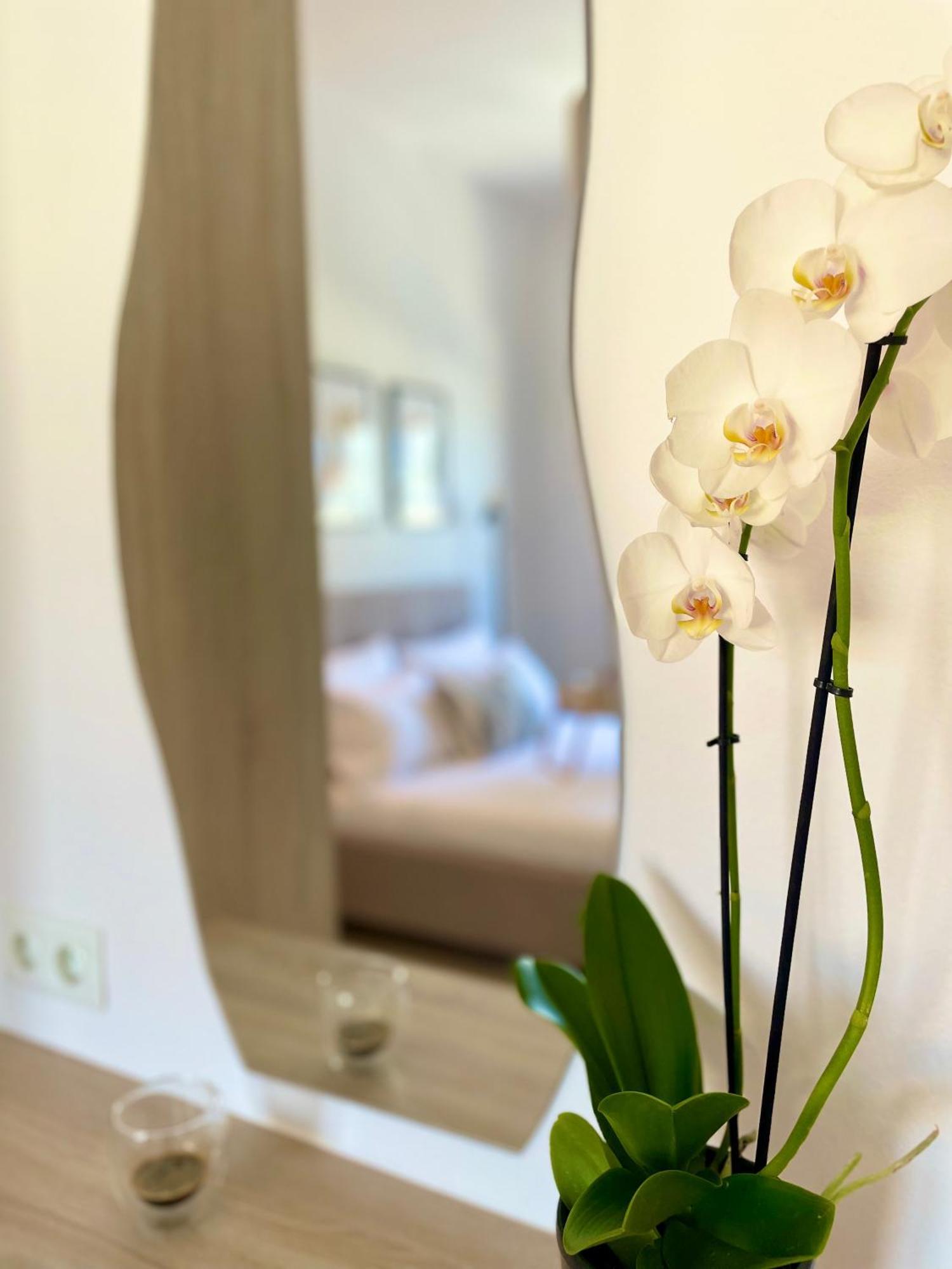 Ceres Loft Apartment Rethymno (Crete)
